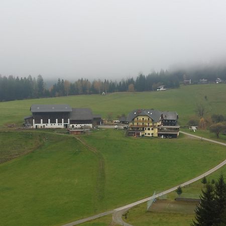 Almgasthof Spitzer Sankt Stefan ob Leoben Exterior photo